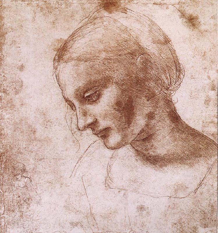 LEONARDO da Vinci Study fur a women head